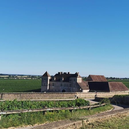 Апартаменты Appt Proche Des Vignes Perrigny-les-Dijon Экстерьер фото