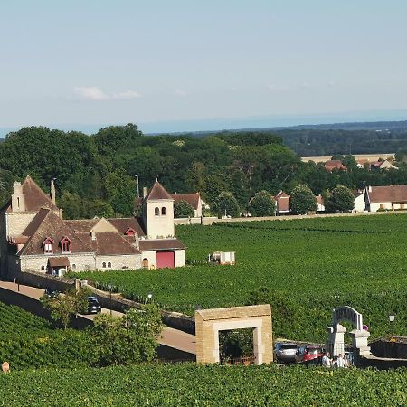 Апартаменты Appt Proche Des Vignes Perrigny-les-Dijon Экстерьер фото