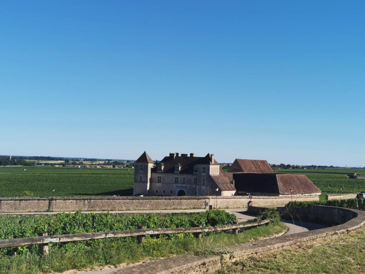 Апартаменты Appt Proche Des Vignes Perrigny-les-Dijon Экстерьер фото